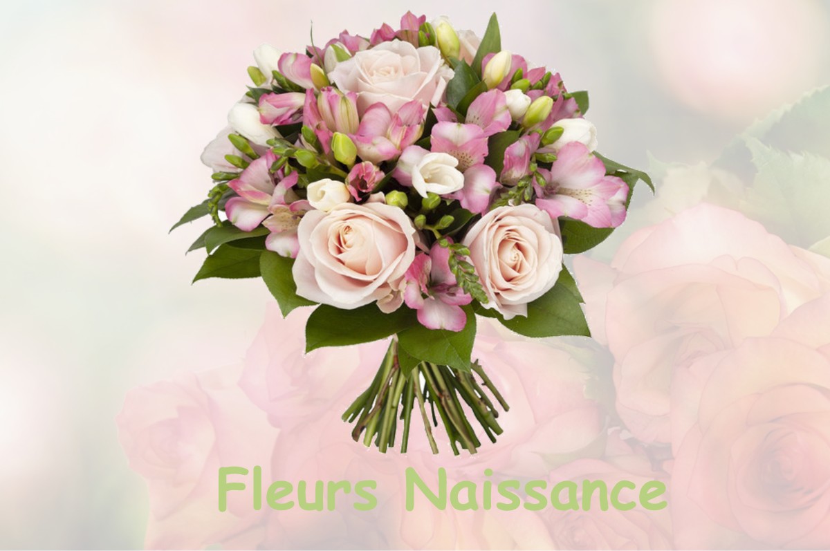fleurs naissance CHAMPAGNAC-LA-NOAILLE