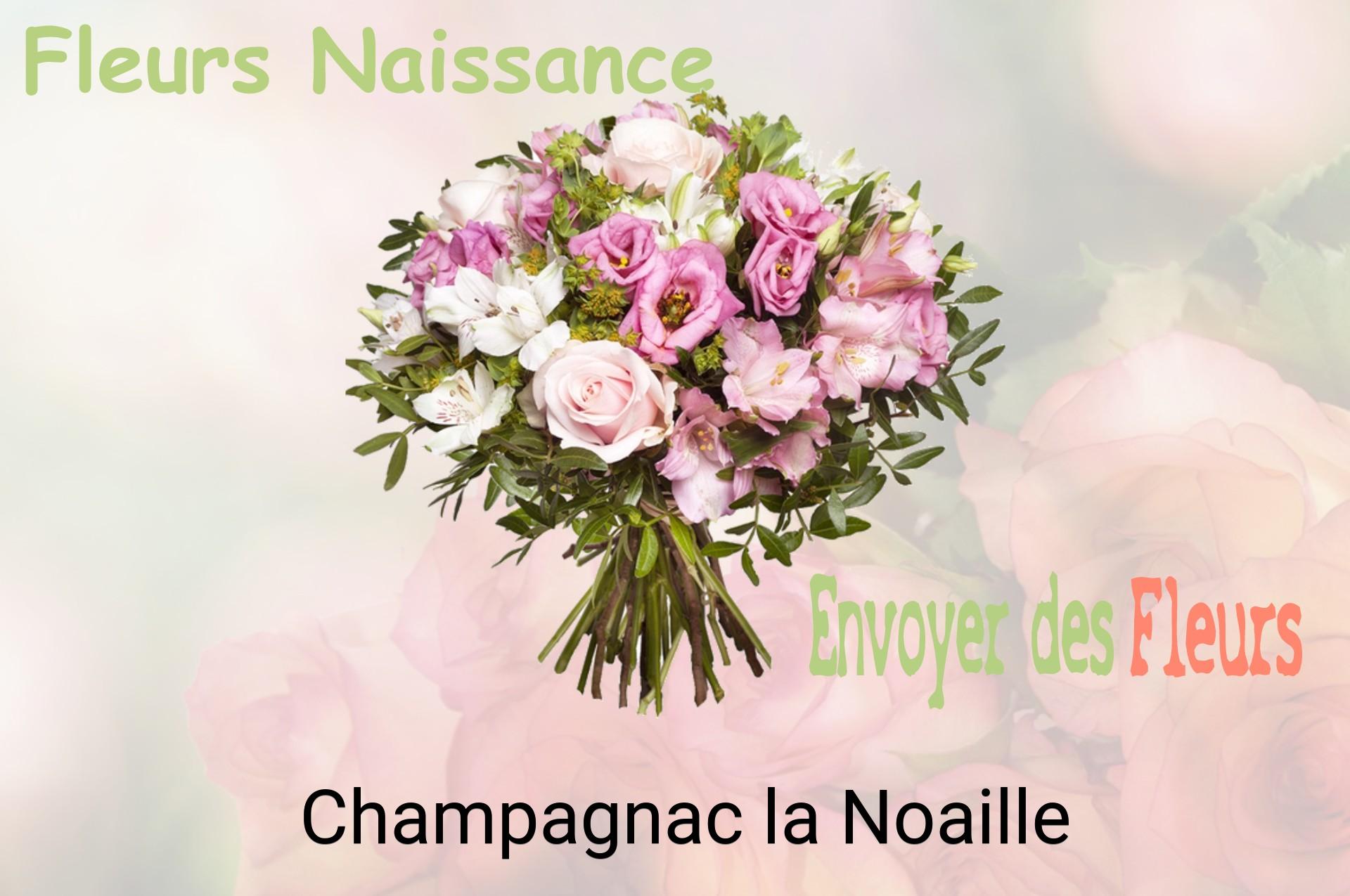 Bouquet de fleurs de naissance livré à Champagnac-la-Noaille
